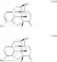 Fig. 07 - Synthesis of noroxymorphone from morphine