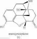 Fig. 10 - Synthesis of noroxymorphone from morphine