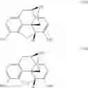 Fig. 11 - Synthesis of noroxymorphone from morphine