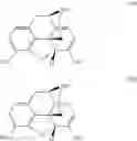 Fig. 13 - Synthesis of noroxymorphone from morphine