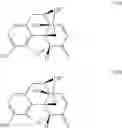 Fig. 24 - Synthesis of noroxymorphone from morphine