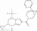 Fig. 976 - Fused piperidine amides as modulators of ion channels