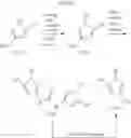Fig. 18 - Chemical compounds