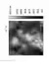 Fig. 34 - Multifunctional supramolecular hybrids encompassing hierarchical self-ordering of metal-organic framework nanoparticles and method of preparing same
