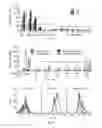 Fig. 04 - Polymer coated particles and methods thereof