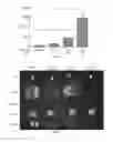Fig. 06 - Polymer coated particles and methods thereof