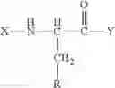 Fig. 24 - Silylalkyloxyaryl compounds and methods for treating cancer