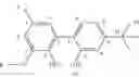 Fig. 05 - Bisphosphites having an unsymmetric outer biphenol unit