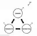 Fig. 01 - Compounds, systems, and methods for monitoring and treating a surface of a subject