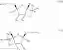 Fig. 04 - Nucleoside and nucleotide derivatives