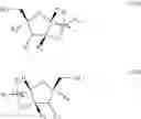 Fig. 08 - Nucleoside and nucleotide derivatives