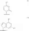 Fig. 17 - Nucleoside and nucleotide derivatives