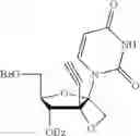 Fig. 29 - Nucleoside and nucleotide derivatives