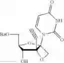 Fig. 30 - Nucleoside and nucleotide derivatives