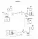 Fig. 02 - NUCLEOSIDES WITH ANTIVIRAL AND ANTICANCER ACTIVITY