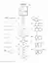 Fig. 03 - NUCLEOSIDES WITH ANTIVIRAL AND ANTICANCER ACTIVITY