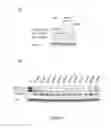 Fig. 06 - Methods and compounds useful in conditions related to repeat expansion