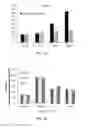 Fig. 05 - Combination of estrogens plus antiprogestins with significant partial agonistic effect as an effective treatment of menopausal symptoms and for prevention of the occurrence of breast cancer