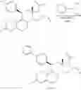 Fig. 12 - Combination of estrogens plus antiprogestins with significant partial agonistic effect as an effective treatment of menopausal symptoms and for prevention of the occurrence of breast cancer