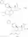 Fig. 14 - Combination of estrogens plus antiprogestins with significant partial agonistic effect as an effective treatment of menopausal symptoms and for prevention of the occurrence of breast cancer