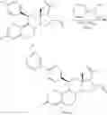 Fig. 16 - Combination of estrogens plus antiprogestins with significant partial agonistic effect as an effective treatment of menopausal symptoms and for prevention of the occurrence of breast cancer