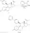 Fig. 20 - Combination of estrogens plus antiprogestins with significant partial agonistic effect as an effective treatment of menopausal symptoms and for prevention of the occurrence of breast cancer
