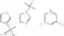 Fig. 46 - Combination of estrogens plus antiprogestins with significant partial agonistic effect as an effective treatment of menopausal symptoms and for prevention of the occurrence of breast cancer