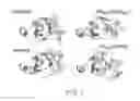 Fig. 02 - Protease-resistant peptide ligands