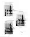Fig. 04 - Protease-resistant peptide ligands