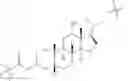 Fig. 25 - APJ Receptor Compounds