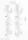 Fig. 06 - A4B7 peptide monomer and dimer antagonists