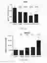 Fig. 16 - A4B7 peptide monomer and dimer antagonists