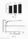 Fig. 17 - A4B7 peptide monomer and dimer antagonists
