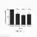 Fig. 18 - A4B7 peptide monomer and dimer antagonists