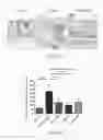Fig. 22 - A4B7 peptide monomer and dimer antagonists