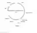 Fig. 02 - Complexes of cytomegalovirus proteins