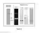 Fig. 09 - Complexes of cytomegalovirus proteins