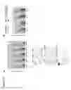 Fig. 11 - Methods and compositions for treating cancer and inflammatory diseases