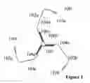 Fig. 02 - RESEARCH BIO-NANOPARTICLE ELEMENTS AND PLATFORMS