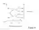 Fig. 07 - RESEARCH BIO-NANOPARTICLE ELEMENTS AND PLATFORMS