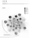 Fig. 06 - Stabilized insulinotropic peptides and methods of use