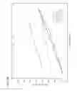 Fig. 19 - Stabilized insulinotropic peptides and methods of use