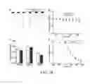 Fig. 22 - REGULATION OF SODIUM CHANNELS BY PLUNC PROTEINS