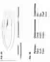 Fig. 04 - Methods of producing two chain proteins in bacteria