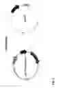 Fig. 10 - Methods of producing two chain proteins in bacteria
