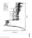 Fig. 22 - Methods of producing two chain proteins in bacteria
