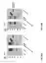Fig. 57 - Methods of producing two chain proteins in bacteria
