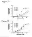 Fig. 08 - Insertable variable fragments of antibodies and modified A1-A2 domains of NKG2D ligands