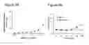 Fig. 10 - Insertable variable fragments of antibodies and modified A1-A2 domains of NKG2D ligands