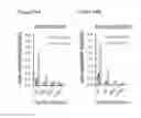 Fig. 25 - Insertable variable fragments of antibodies and modified A1-A2 domains of NKG2D ligands